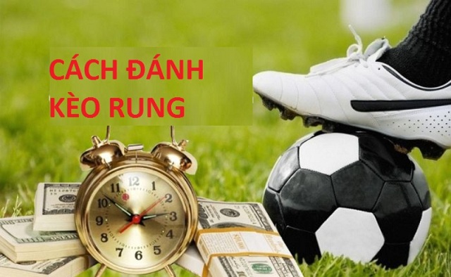 Kinh nghiệm cược kèo rung